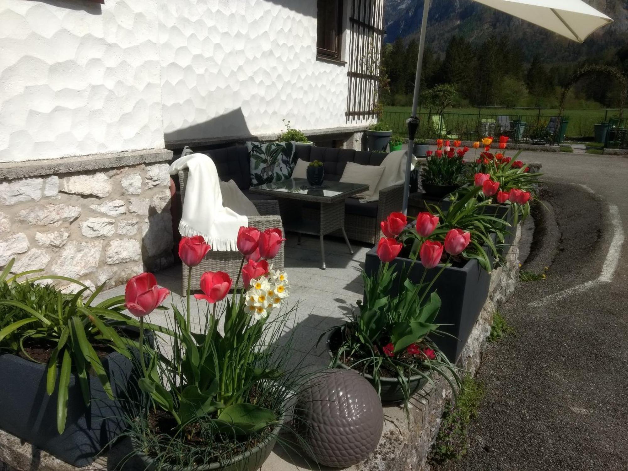 Haus Alpenblick Apartamento Obertraun Exterior foto