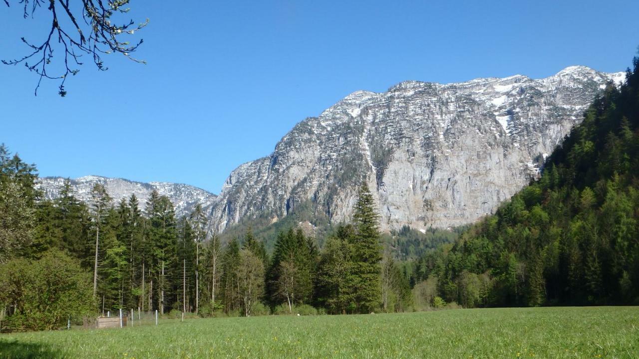 Haus Alpenblick Apartamento Obertraun Exterior foto